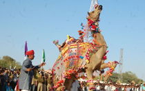 Jaipur Udaipur Rajasthan Tour 