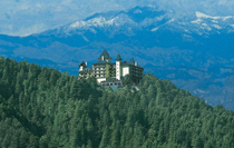 Shimla Kufri Tour Package