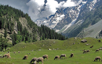 Sonmarg tour Sightseeing