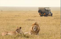 Amboseli safari