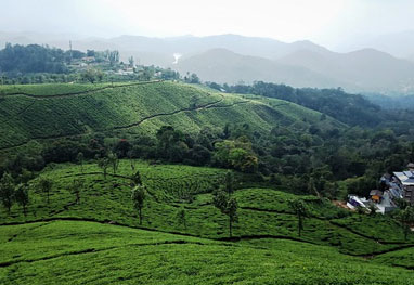 munnar tour