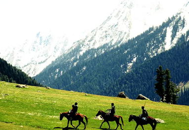Kashmir Tour 7 Days